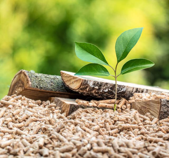 wood-pellets-with-leaf-tree-trunks-concept-eco-sustainable-fuel (1)